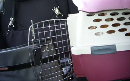 f0004309_2131448.jpg