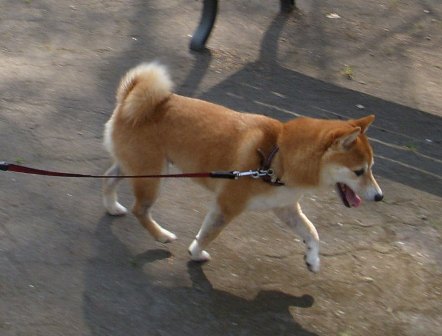 f0004309_2137856.jpg