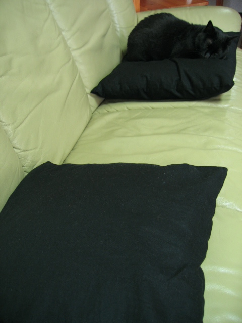 e0050111_2384564.jpg