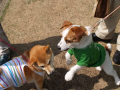c0157412_21485528.jpg