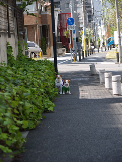 c0157412_22125712.jpg