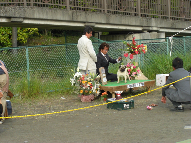 e0075412_1417667.jpg
