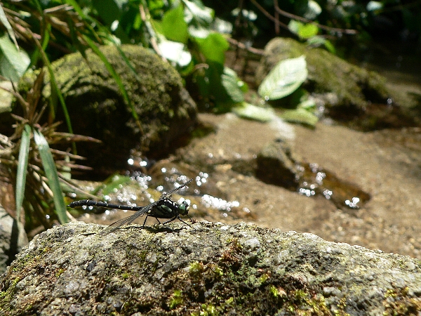 e0002314_18245541.jpg