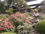 e0143915_16525379.jpg