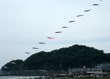 a0022216_2144046.jpg