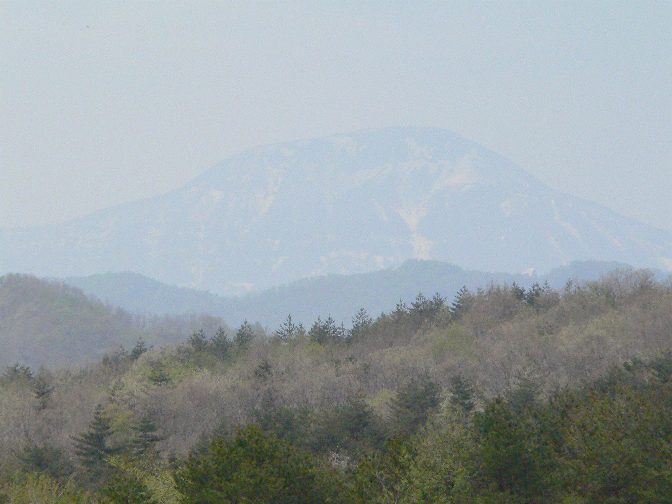 f0107517_12363494.jpg