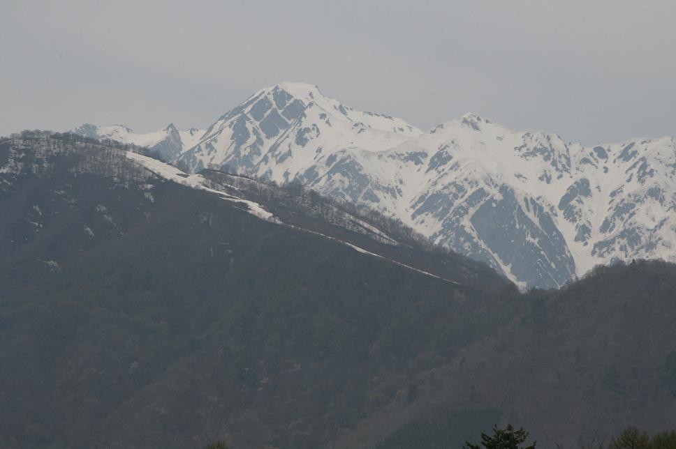 e0109622_859855.jpg