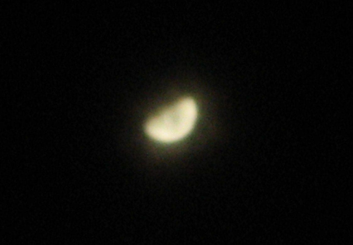 f0031722_2054434.jpg