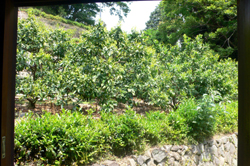f0060424_9321580.jpg
