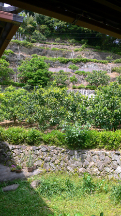 f0060424_9323160.jpg
