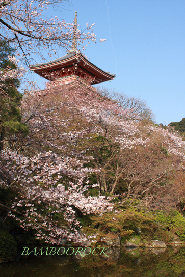 f0045130_12573447.jpg