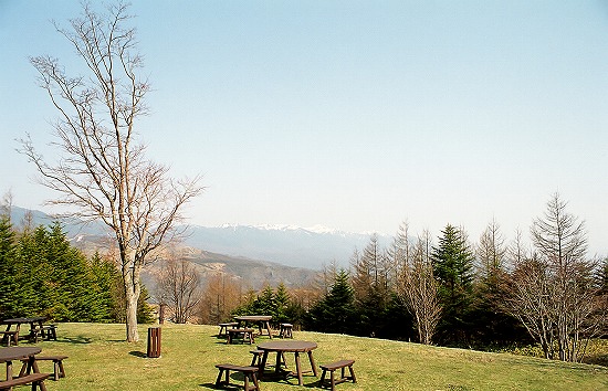 d0001533_21594897.jpg