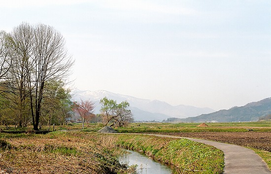 d0001533_2222159.jpg