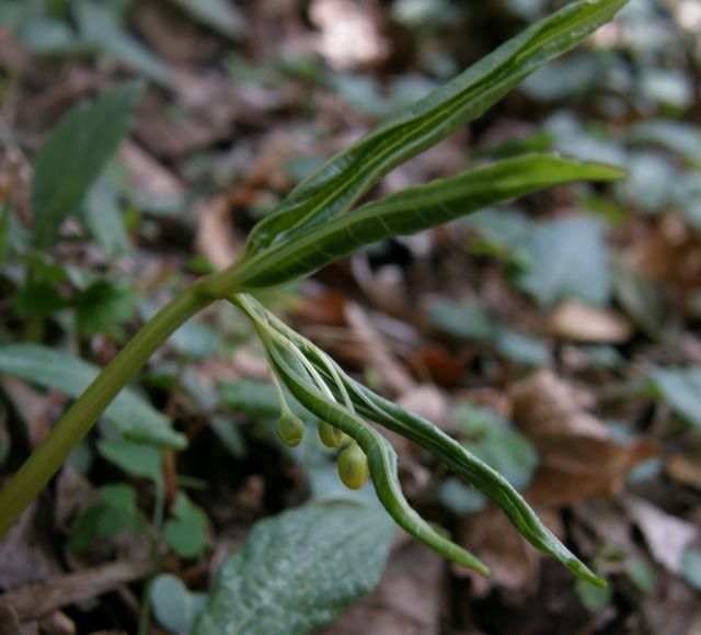 e0145033_928130.jpg