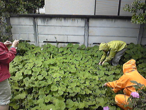 b0029435_20151288.jpg