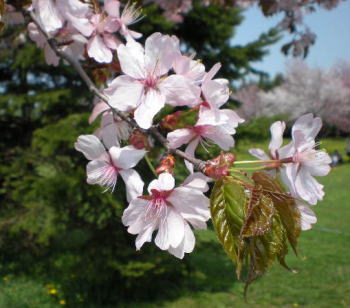 b0001440_13562152.jpg