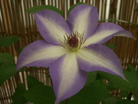 c0025140_16145596.jpg