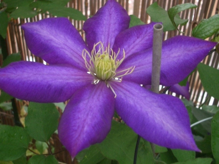 c0025140_16155598.jpg