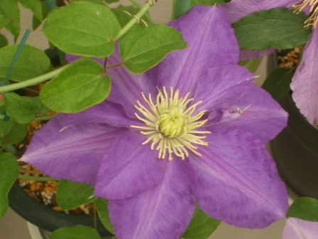 c0025140_16214626.jpg