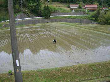 e0110940_12332268.jpg