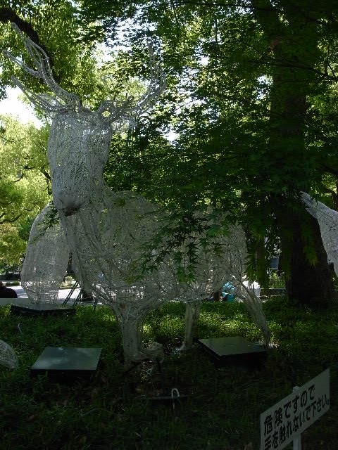 a0087341_9293482.jpg