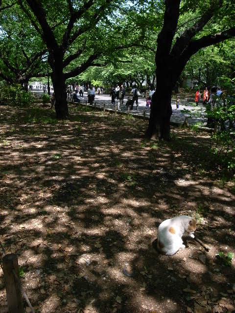a0087341_930111.jpg