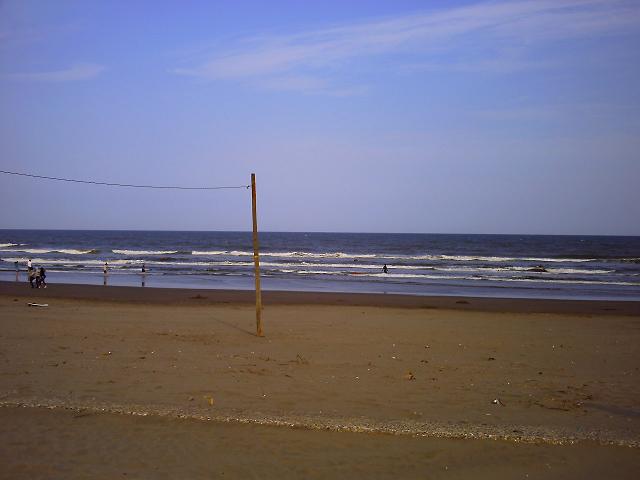 f0053847_1155157.jpg