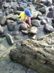 e0005548_2114617.jpg