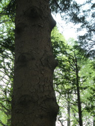 c0047449_19334416.jpg