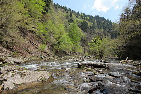 e0113053_1124629.jpg