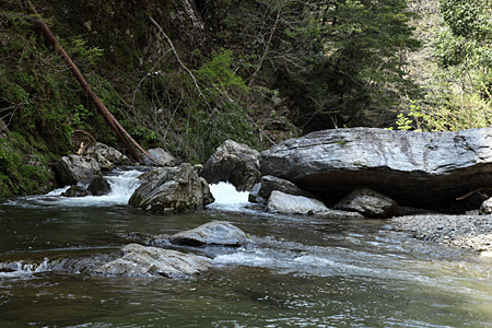 e0113053_1144345.jpg