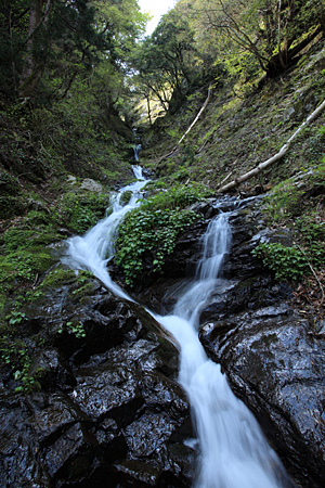 e0113053_1154672.jpg