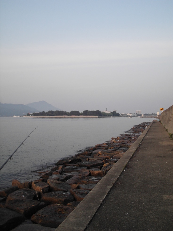 f0196054_324990.jpg