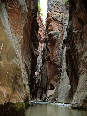 b0091855_6192816.jpg