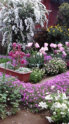 e0112057_22581232.jpg