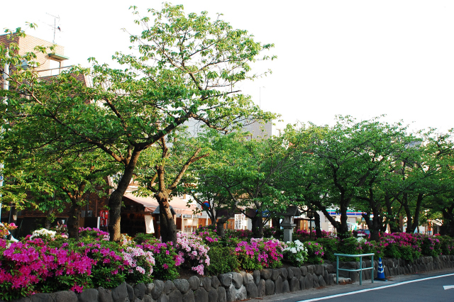 f0176458_12223019.jpg