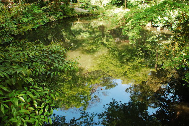 f0176458_13224028.jpg
