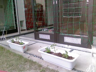 c0051759_13164799.jpg
