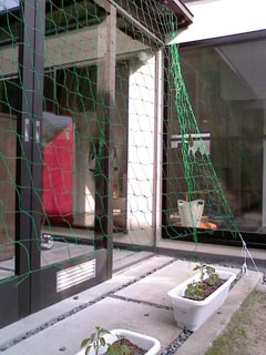 c0051759_13212592.jpg
