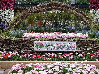 d0055259_0244564.jpg