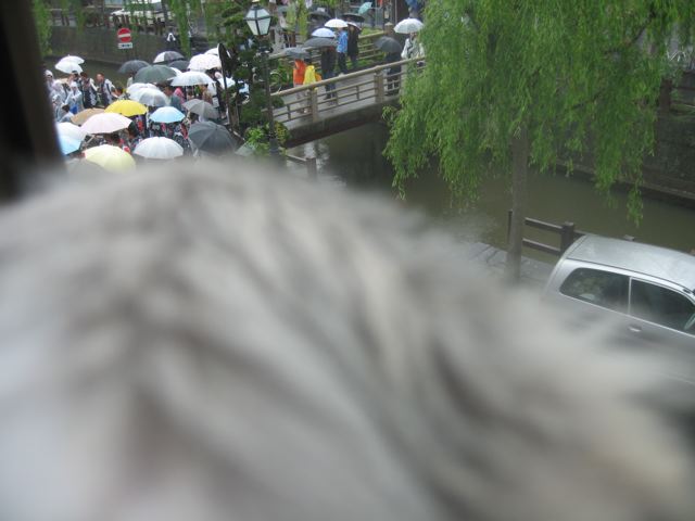 c0162160_20152542.jpg