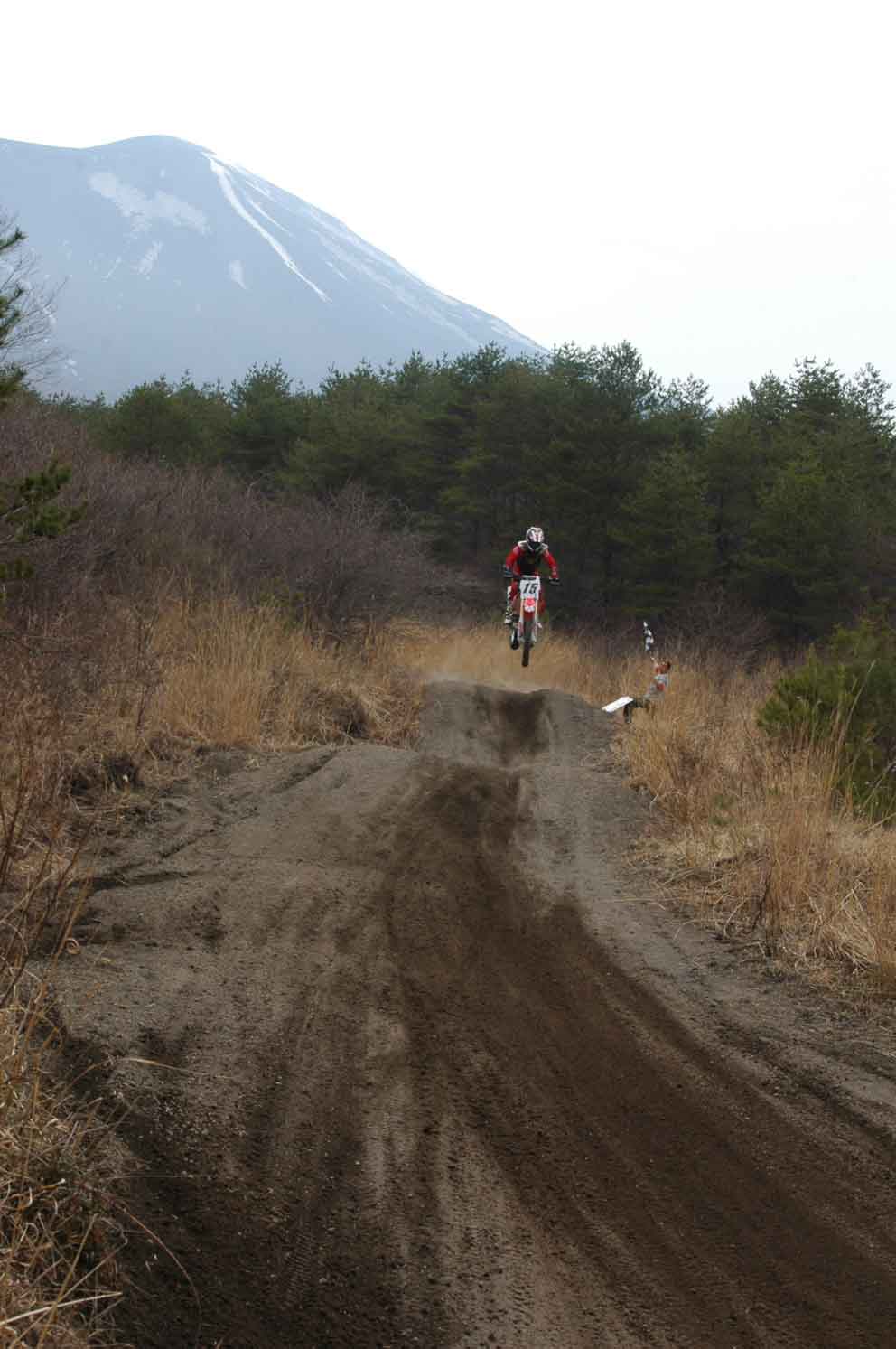 c0198263_258271.jpg