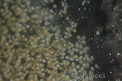d0056263_1829421.jpg