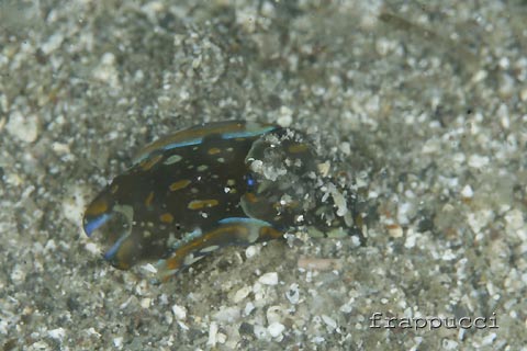 d0056263_1832362.jpg