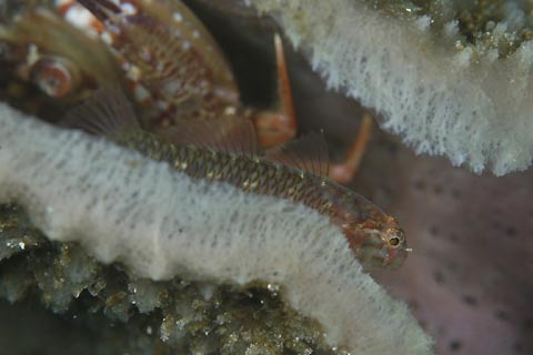 d0056263_18372639.jpg