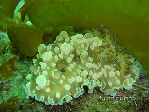 d0056263_1838051.jpg