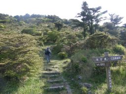 c0042869_8485276.jpg