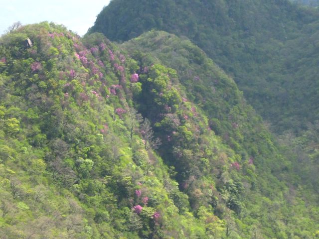 c0042869_933315.jpg