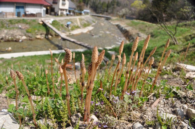 e0078069_18535625.jpg