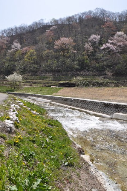 e0078069_185419.jpg